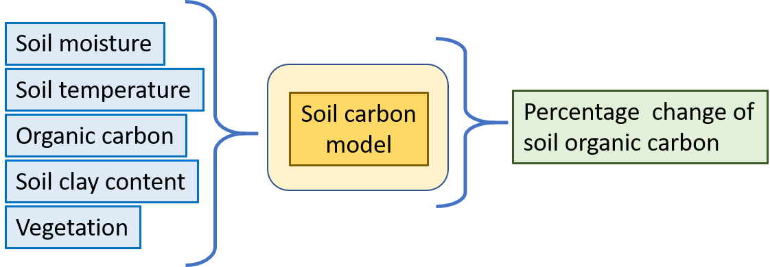 Model description